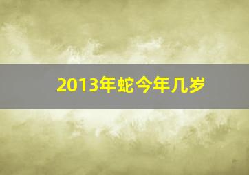 2013年蛇今年几岁