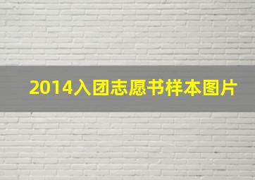 2014入团志愿书样本图片