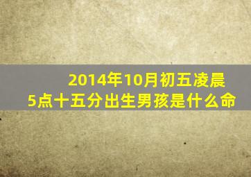 2014年10月初五凌晨5点十五分出生男孩是什么命