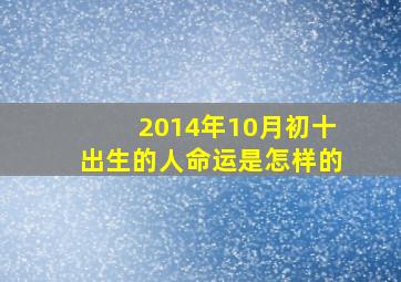 2014年10月初十出生的人命运是怎样的