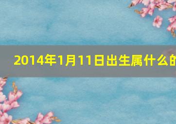 2014年1月11日出生属什么的