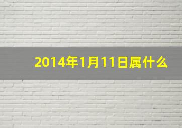 2014年1月11日属什么