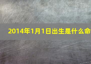 2014年1月1日出生是什么命