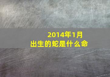 2014年1月出生的蛇是什么命