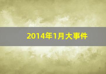 2014年1月大事件