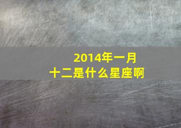 2014年一月十二是什么星座啊