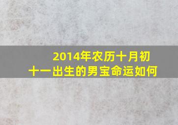 2014年农历十月初十一出生的男宝命运如何