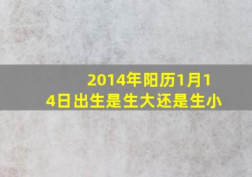 2014年阳历1月14日出生是生大还是生小