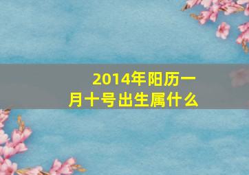 2014年阳历一月十号出生属什么