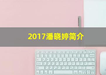 2017潘晓婷简介