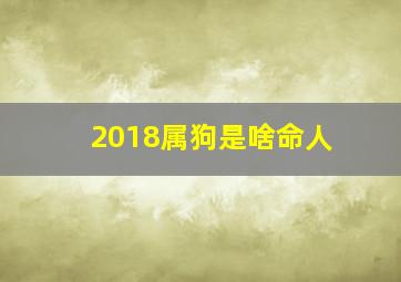 2018属狗是啥命人