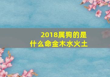 2018属狗的是什么命金木水火土