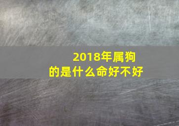 2018年属狗的是什么命好不好