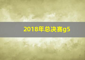 2018年总决赛g5