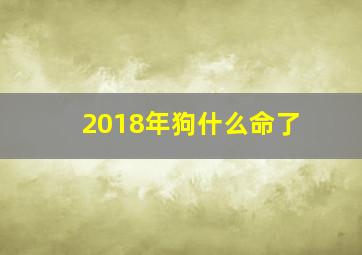 2018年狗什么命了