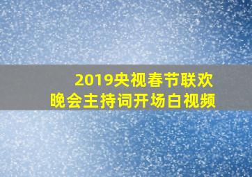 2019央视春节联欢晚会主持词开场白视频