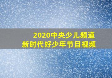 2020中央少儿频道新时代好少年节目视频