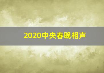 2020中央春晚相声