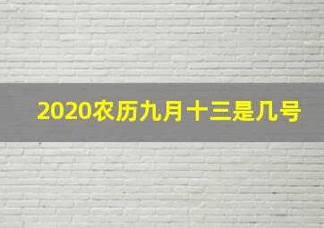 2020农历九月十三是几号