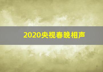 2020央视春晚相声