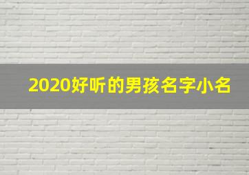 2020好听的男孩名字小名