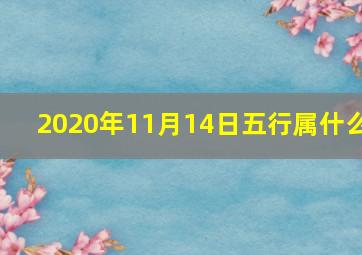 2020年11月14日五行属什么