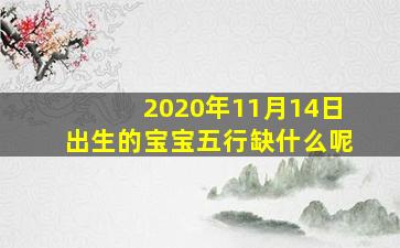 2020年11月14日出生的宝宝五行缺什么呢