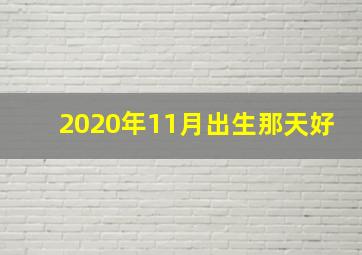 2020年11月出生那天好