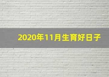 2020年11月生育好日子