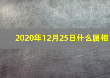 2020年12月25日什么属相