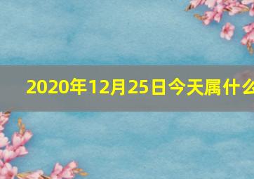 2020年12月25日今天属什么