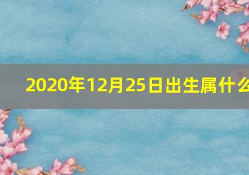 2020年12月25日出生属什么