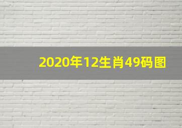 2020年12生肖49码图