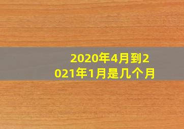 2020年4月到2021年1月是几个月