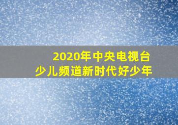 2020年中央电视台少儿频道新时代好少年