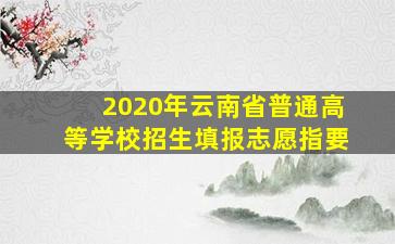 2020年云南省普通高等学校招生填报志愿指要