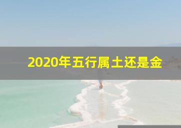 2020年五行属土还是金