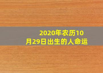 2020年农历10月29日出生的人命运