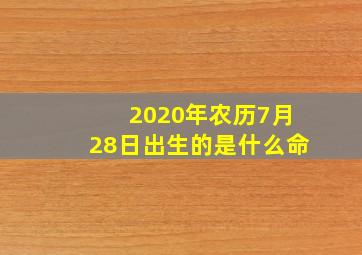 2020年农历7月28日出生的是什么命