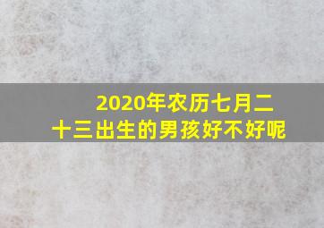 2020年农历七月二十三出生的男孩好不好呢