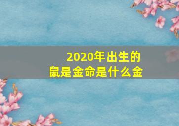 2020年出生的鼠是金命是什么金