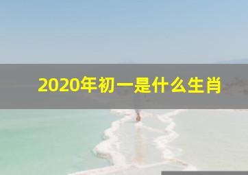 2020年初一是什么生肖