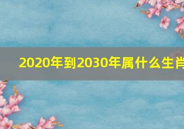 2020年到2030年属什么生肖