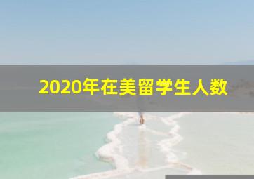 2020年在美留学生人数