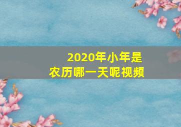 2020年小年是农历哪一天呢视频