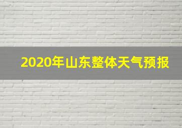 2020年山东整体天气预报