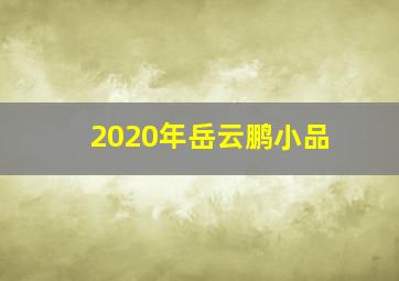 2020年岳云鹏小品