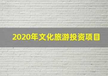 2020年文化旅游投资项目