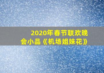 2020年春节联欢晚会小品《机场姐妹花》