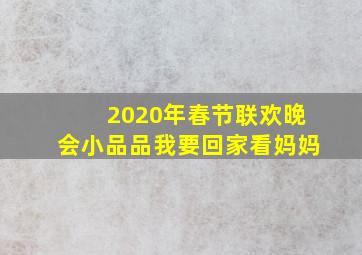 2020年春节联欢晚会小品品我要回家看妈妈